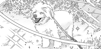 第18話　トリミングをしよう！