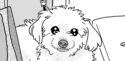 第19話　夏！投薬！闘争！安堵！