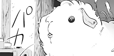 ちーちゃんのうんこ 